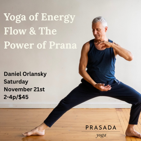 Yoga of Energy Flow & The Power of Prana